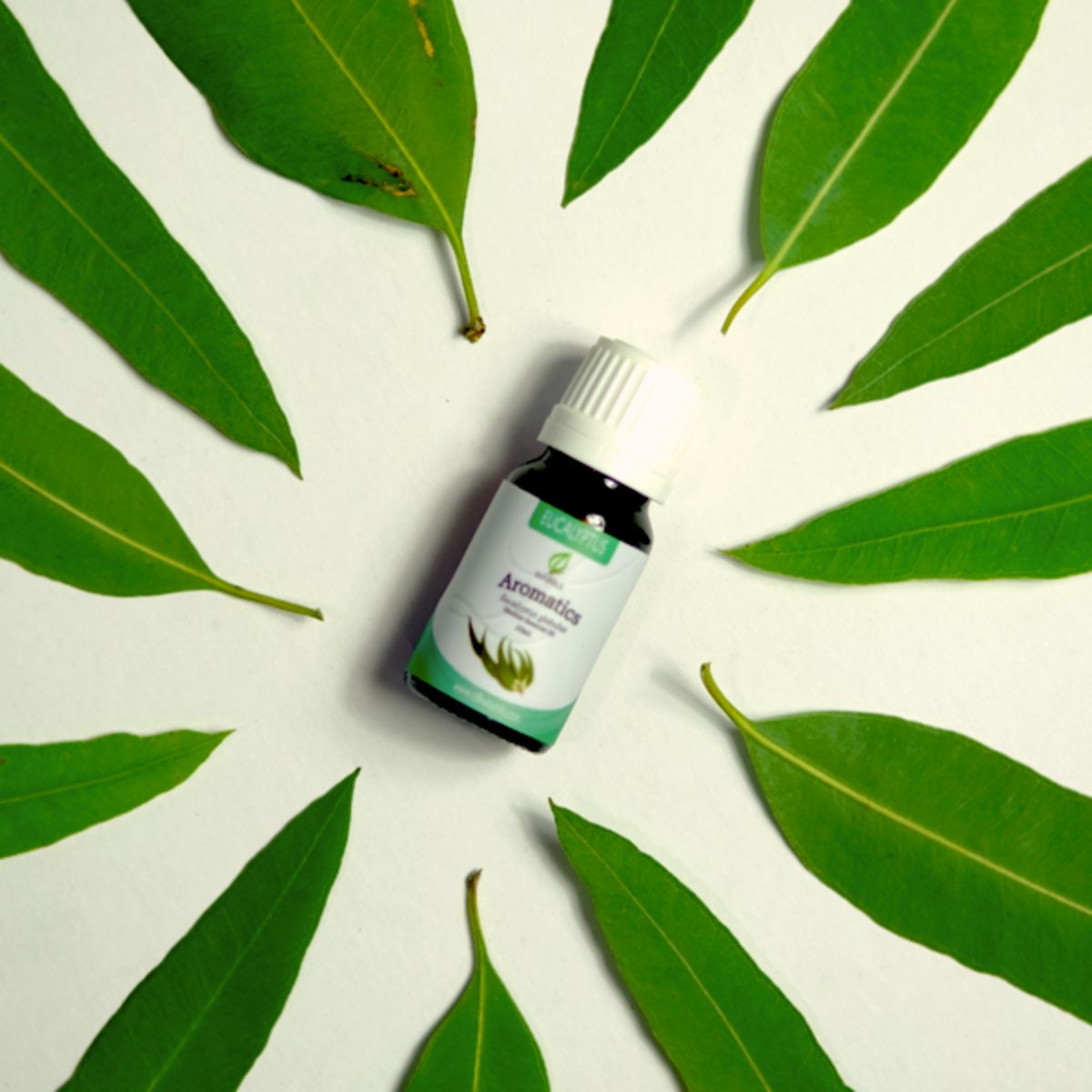 Eucalyptus Essential Oil